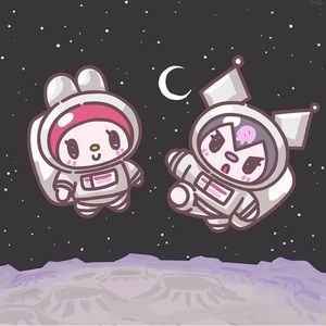 Meet your Posher, Anne